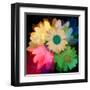 Daisies In Color II-Ruth Palmer-Framed Art Print