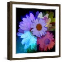 Daisies In Color-Ruth Palmer-Framed Art Print