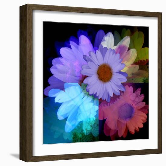 Daisies In Color-Ruth Palmer-Framed Art Print