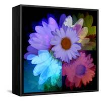 Daisies In Color-Ruth Palmer-Framed Stretched Canvas