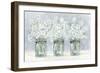Daisies In Jars 1-Patti Bishop-Framed Art Print