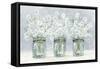 Daisies In Jars 1-Patti Bishop-Framed Stretched Canvas