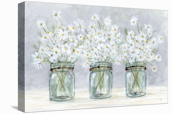 Daisies In Jars 1-Patti Bishop-Stretched Canvas