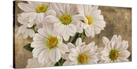 Daisies in the Moonlight-Jenny Thomlinson-Stretched Canvas