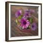 Daisies Planted in Pot-Arctic-Images-Framed Photographic Print