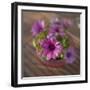 Daisies Planted in Pot-Arctic-Images-Framed Photographic Print