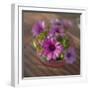 Daisies Planted in Pot-Arctic-Images-Framed Photographic Print