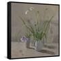 Daisies Poppies-William Packer-Framed Stretched Canvas