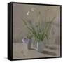 Daisies Poppies-William Packer-Framed Stretched Canvas