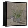 Daisies Poppies-William Packer-Framed Stretched Canvas