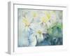 Daisies, Shasta-Karen Armitage-Framed Giclee Print