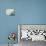 Daisies, Shasta-Karen Armitage-Giclee Print displayed on a wall