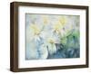 Daisies, Shasta-Karen Armitage-Framed Giclee Print