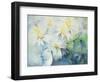 Daisies, Shasta-Karen Armitage-Framed Giclee Print