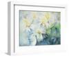 Daisies, Shasta-Karen Armitage-Framed Giclee Print