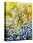 Daisies Watercolor-Pol Ledent-Stretched Canvas