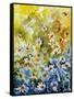 Daisies Watercolor-Pol Ledent-Framed Stretched Canvas