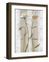 Daisies-Valerie Roy-Framed Art Print