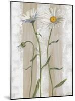 Daisies-Valerie Roy-Mounted Art Print