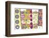 Daisies-P^G^ Gravele-Framed Art Print