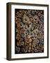 Daisies-Seraphine (de Senlis) Louis-Framed Art Print