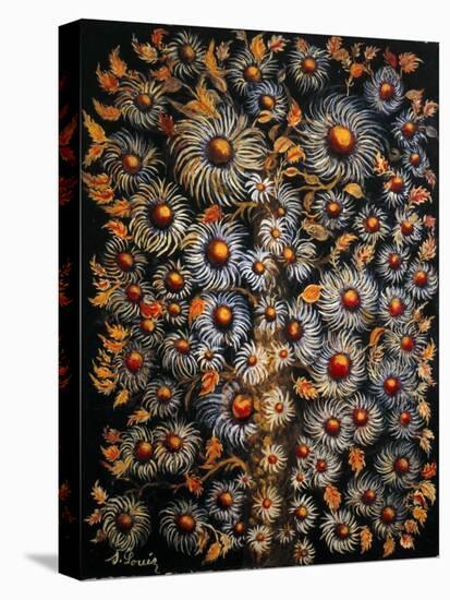 Daisies-Seraphine (de Senlis) Louis-Stretched Canvas