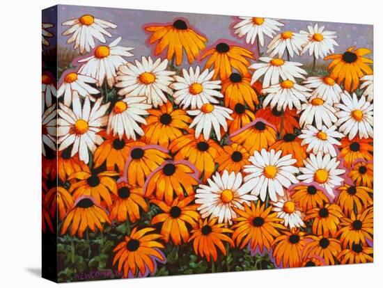 Daisies-John Newcomb-Stretched Canvas
