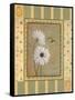 Daisies-Pamela Desgrosellier-Framed Stretched Canvas