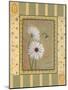 Daisies-Pamela Desgrosellier-Mounted Art Print