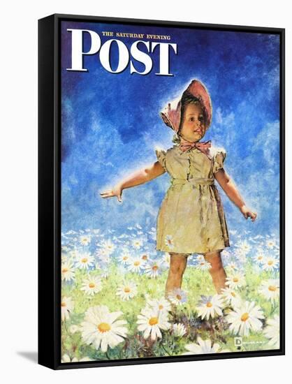 "Daisy Among Daisies," Saturday Evening Post Cover, August 21, 1943-Douglas Crockwell-Framed Stretched Canvas