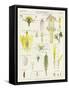 Daisy and Dandelion-null-Framed Stretched Canvas