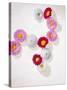 Daisy, Bellis Perennis, Blossoms, Pink, White, Red-Axel Killian-Stretched Canvas