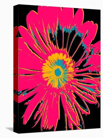 Daisy Big Pop-Ricki Mountain-Stretched Canvas