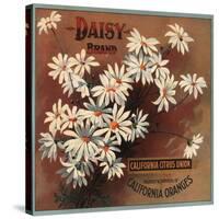 Daisy Brand - California - Citrus Crate Label-Lantern Press-Stretched Canvas
