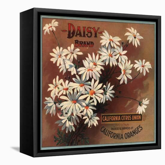 Daisy Brand - California - Citrus Crate Label-Lantern Press-Framed Stretched Canvas