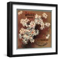 Daisy Brand - California - Citrus Crate Label-Lantern Press-Framed Art Print