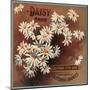 Daisy Brand - California - Citrus Crate Label-Lantern Press-Mounted Art Print