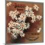 Daisy Brand - California - Citrus Crate Label-Lantern Press-Mounted Art Print
