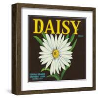 Daisy Brand Citrus Crate Label - Covina, CA-Lantern Press-Framed Art Print