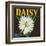 Daisy Brand Citrus Crate Label - Covina, CA-Lantern Press-Framed Art Print