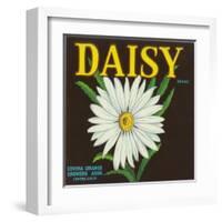 Daisy Brand Citrus Crate Label - Covina, CA-Lantern Press-Framed Art Print