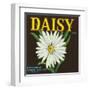 Daisy Brand Citrus Crate Label - Covina, CA-Lantern Press-Framed Art Print