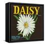 Daisy Brand Citrus Crate Label - Covina, CA-Lantern Press-Framed Stretched Canvas