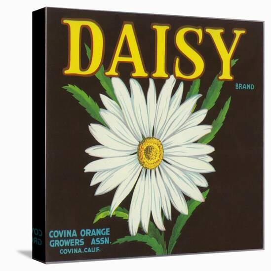 Daisy Brand Citrus Crate Label - Covina, CA-Lantern Press-Stretched Canvas