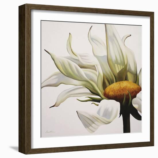 Daisy Breeze-Carolina Alotus-Framed Giclee Print