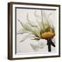 Daisy Breeze-Carolina Alotus-Framed Giclee Print