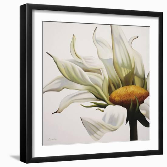 Daisy Breeze-Carolina Alotus-Framed Giclee Print