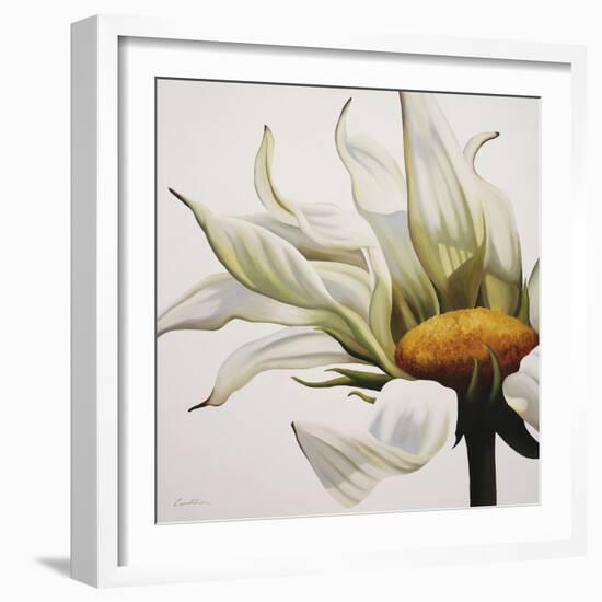 Daisy Breeze-Carolina Alotus-Framed Giclee Print