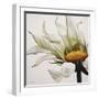 Daisy Breeze-Carolina Alotus-Framed Giclee Print