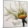 Daisy Breeze-Carolina Alotus-Mounted Giclee Print